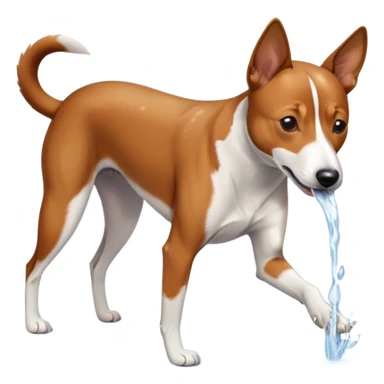 a basenji dog drinking water sticker