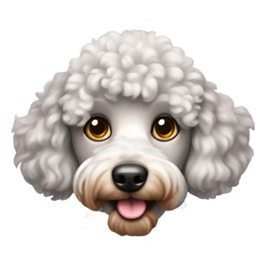 Merle mini poodle sticker