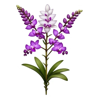 single white purple Rhynchostylis Orchid, 
straight stem sticker