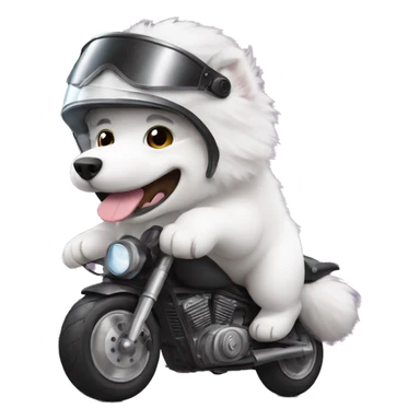 Samoyed with a motorcycle helmet sticker