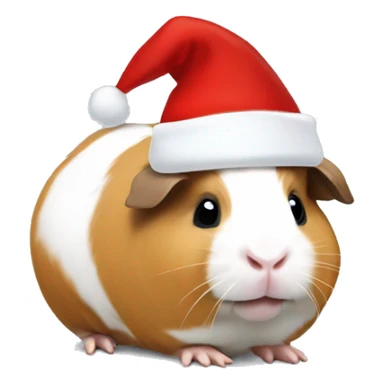 white and light brown guinea pig with a santa hat sticker