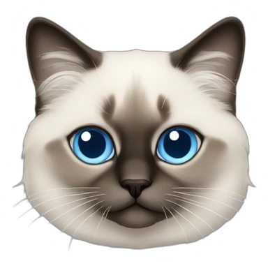birman cat with blue eyes, and which is very cute af sticker