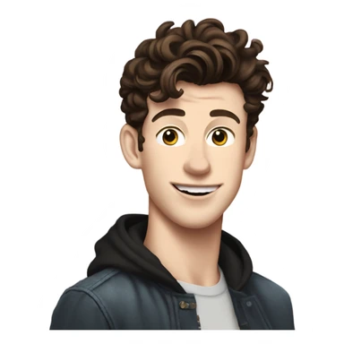 shawn Mendes  sticker