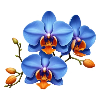 blue and orange colored orchid sticker