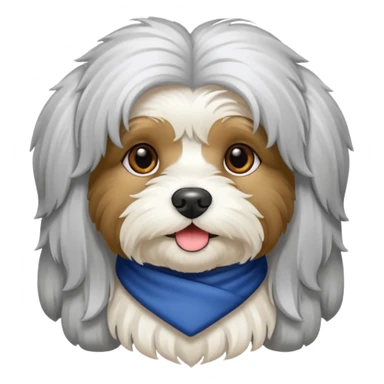 Black and white Havanese dog sticker