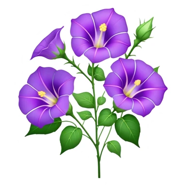 bouquet purple Morning Glorysuper, stem sticker