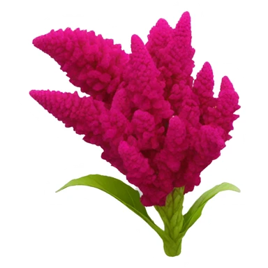 celosia flower sticker