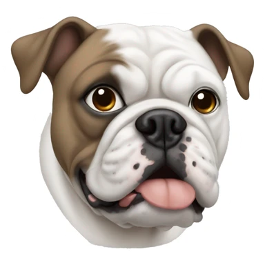White bulldog with one blue eye and one brown eye sticker