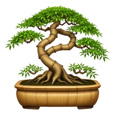 Twisted bamboo floor unit displaying bonsai plants(in shallow bonsai pots) because they have too many  sticker
