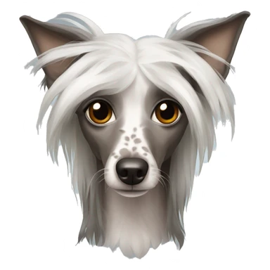 Chinese Crested sticker