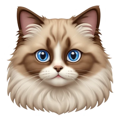 cinematic-adorable-big-eyed-fluffy-brown ragdoll-cat-portrait-emoji,-head-tilted-playfully-with-a-sweet-expression,-fluffy-white and brown-fur,-simplified-yet-irresistibly-cute-features-with-large,-expression, blue eyed ragdoll cat sticker