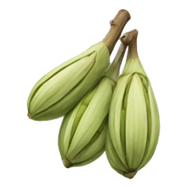 Cardamom  sticker