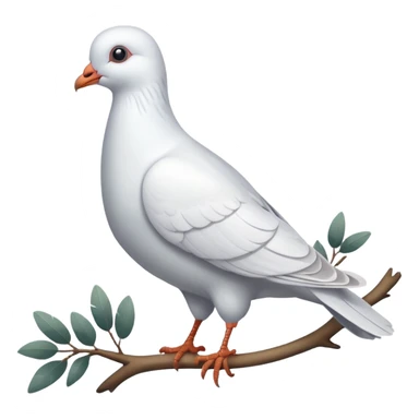 white pigeon sticker