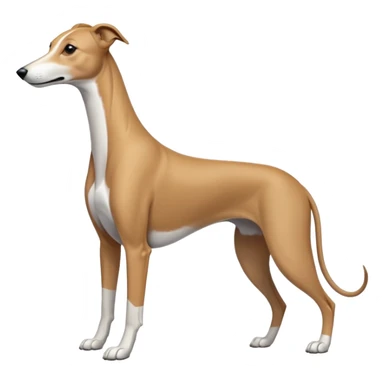 Greyhound  sticker