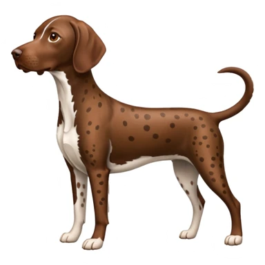 orange spotted german short haired pointer small tail sticker