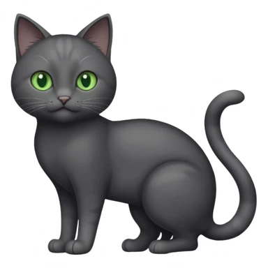 full body gorgeous solid dark grey cat with green eyes, white paws and white whiskers playing sticker