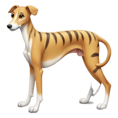 Fawn tiger greyhound standing sticker