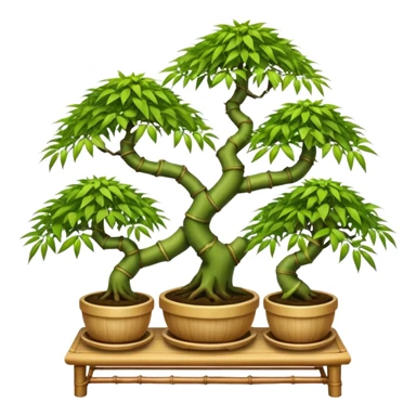 Tiered Twisted bamboo floor shelf unit stand displaying hair leaf maples and bonsai plants(in shallow bonsai pots) cluttered because they have too many  sticker