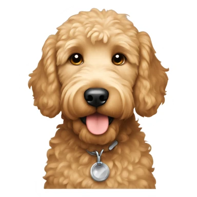 Boy golden doodle  sticker