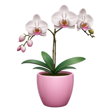 White Orchid in a pink pot sticker