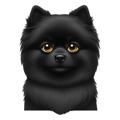Black pomeranian  sticker