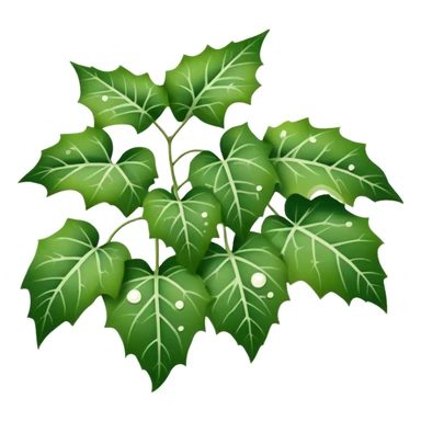 ivy plants with white spotted leaves sticker