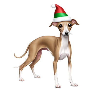 Italian greyhound stretching with a Christmas hat sticker