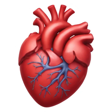 Anatomical heart sticker