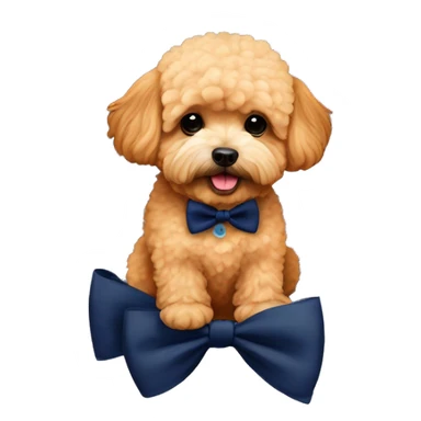 apricot maltipoo sitting on a large pumpkin wearing a navy blue bow tie sticker