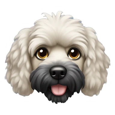 Perro caniche negro   sticker