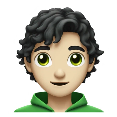 teenage white-skinned wizard with black hair and green eyes in green disgue sticker