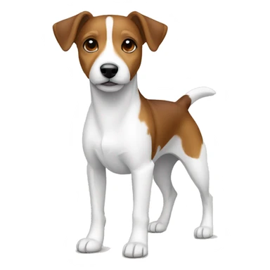 brown with white markings dog Jack Russell Terrier full body sticker