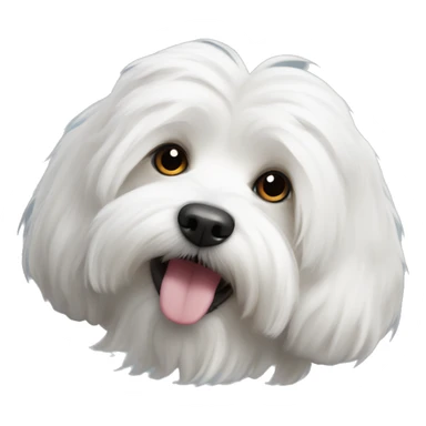 Coton de tulear dog sticker