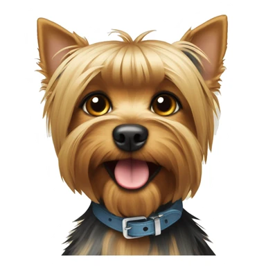 Yorkshire terrier with a collar that says the letters NM sticker
