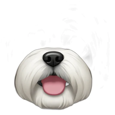 shih tzu with dark short hair sticker