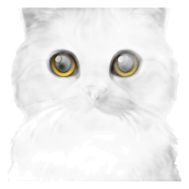 all dark grey Scottish Fold Cat long hair sticker