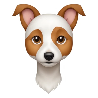 a fully white jack russell the size of a kelpie with light brown ears and a light brown patch on one eye sticker