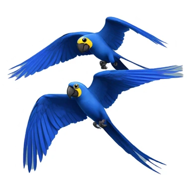 Hyacinth Macaw pair flying sticker