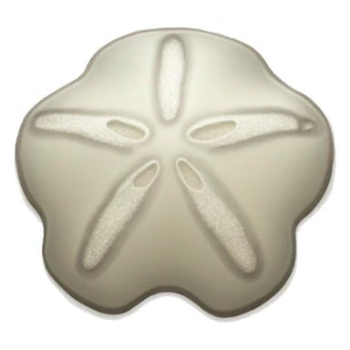 Sand dollar sticker