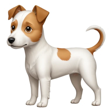 a full body white parson russell looking dog the size of a kelpie with light brown ears and a light brown patch on one eye and a large snout sticker
