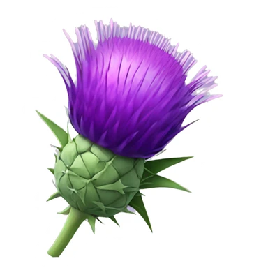 plum Milk thistle sticker