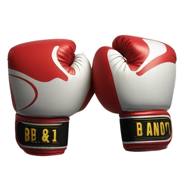  2boxing gloves sticker