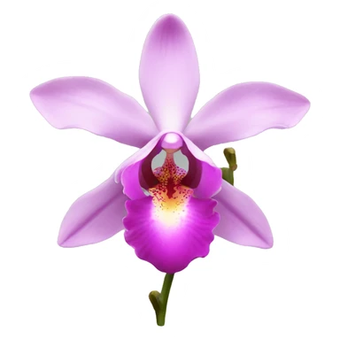 Pink orchid sticker