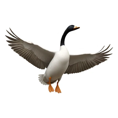 A falling geese  sticker