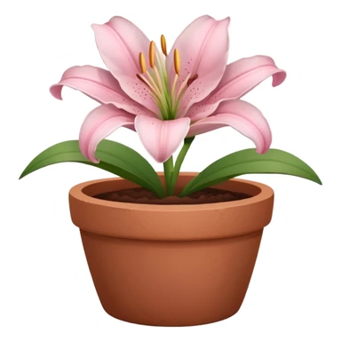 light pink lily in a clay pot sticker