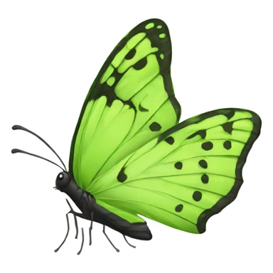 lime green butterfly  sticker