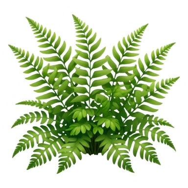A cluster of soft green ferns growing under shaded trees.









































 sticker