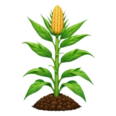 Cây bắp mọc trên đất sticker