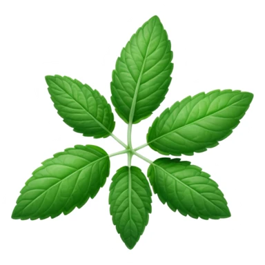 Peppermint (Mentha \(\times \) piperita)  sticker