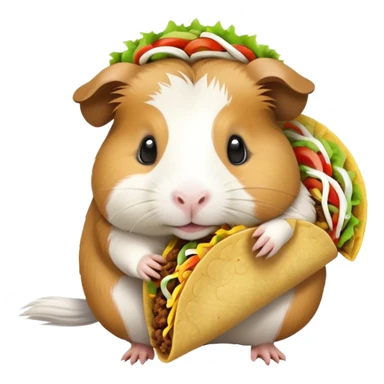 guinea pig eating taco sticker